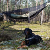 Bushmen Jungle Hammock set between trees with a dog resting on the ground in a forest setting.